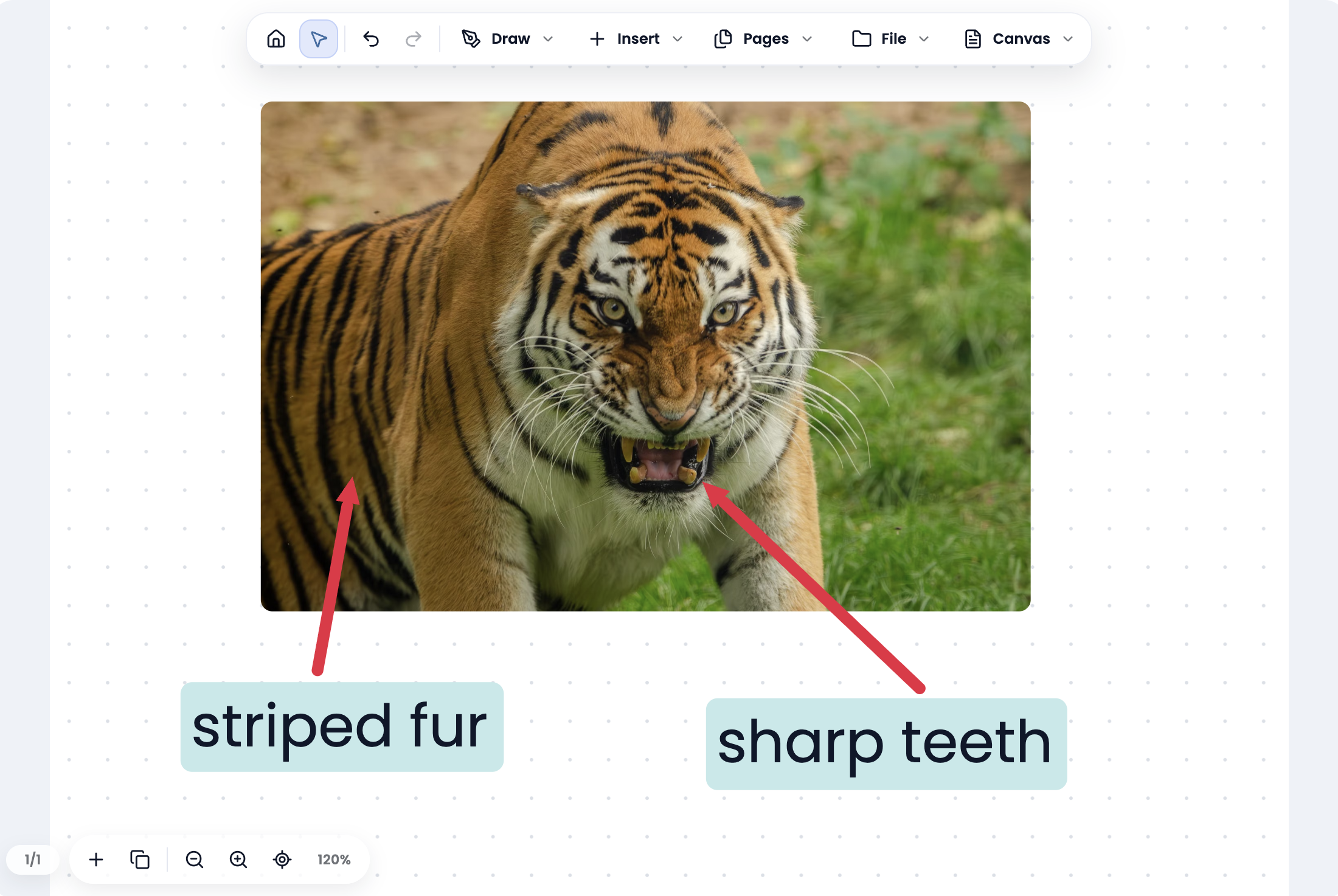 PRISM lesson canvas showing a tiger image annotated with arrows and descriptive labels.